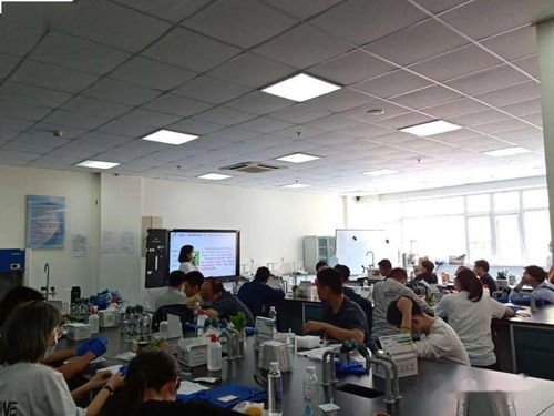 共建食品安全環(huán)境 守護(hù)百姓 舌尖健康 區(qū)市場監(jiān)管局開展2020大型活動食品安全保障專題培訓(xùn)