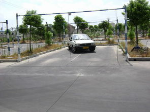 上海學(xué)車價(jià)格 南市駕校c1 手動(dòng)檔小車 周六至周日培訓(xùn),學(xué)費(fèi)僅7000元