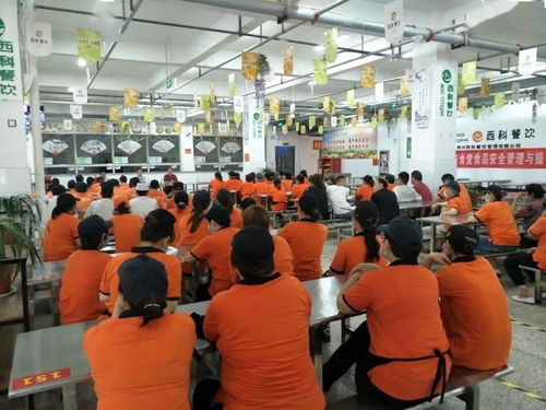 皖北經濟技術學校召開食堂食品安全管理與操作規范 培訓會