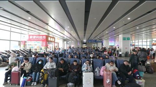 長沙汽車西站春運客流高峰來臨 駕駛員培訓助力安全出行